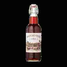 Baltojo Tilto - Kvass in a Glass Bottle 1L