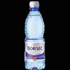 Borsec - Still Mineral Water / Apa Minerala Plata 500ml