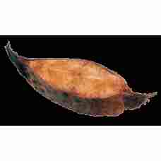 Dauparu Zuvis - Hot Smoked Wolffish MAP kg (~2kg)