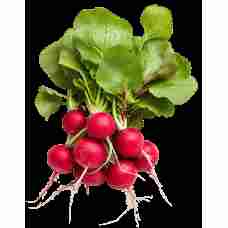 Fresh Radish pcs