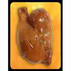 Nematekas - Hot Smoked Chicken Drumsticks ~0.4kg
