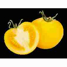 Fresh Yellow Tomatoes ~6kg