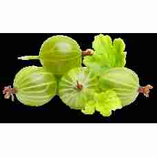Fresh Green Goosberry 250g