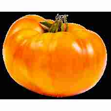 Fresh Pineaple Tomatoes ~6kg