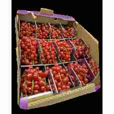 Fresh Redcurrant ~250g pcs