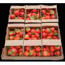 Fresh Strawberries ~1kg pcs
