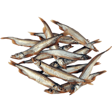 Dauparu Zuvis - Cold Smoked Capelin ~2kg