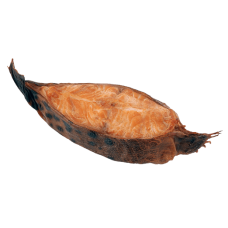 Dauparu Zuvis - Hot Smoked Wolffish MAP kg (~2kg)