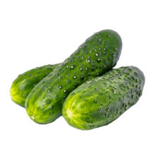 Fresh Cucumbers 5 kg