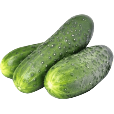 Fresh Cucumbers 5kg/box
