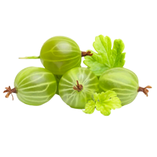 Fresh Green Goosberry 250g