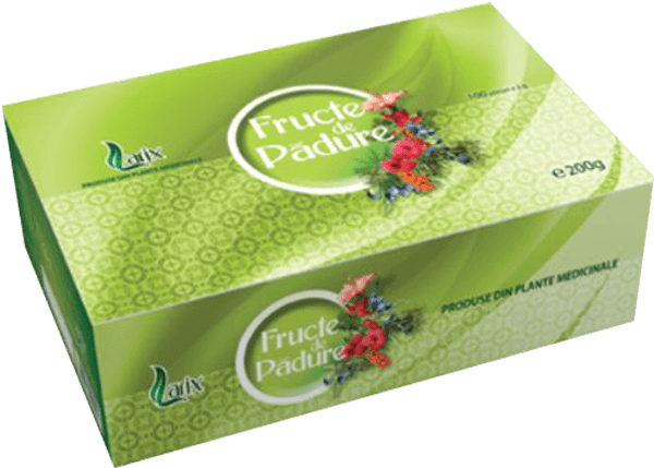 Larix - Forest Fruits Tea 100x2g