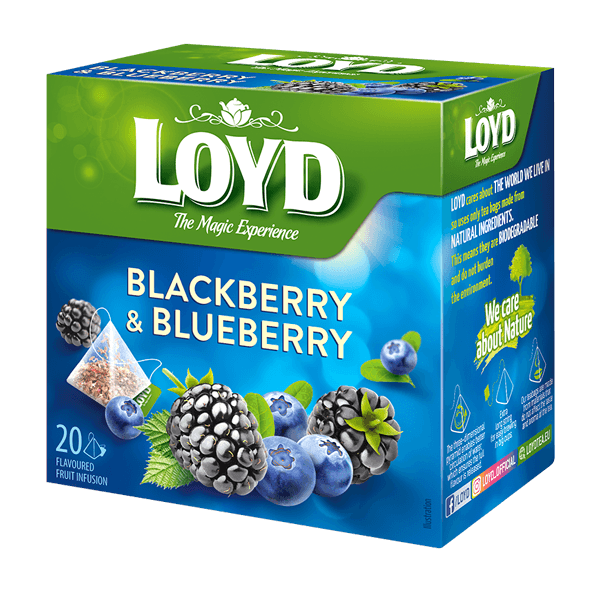 Loyd - Pyramids Fruits Tea Blackberry and Blueberry 20x2g