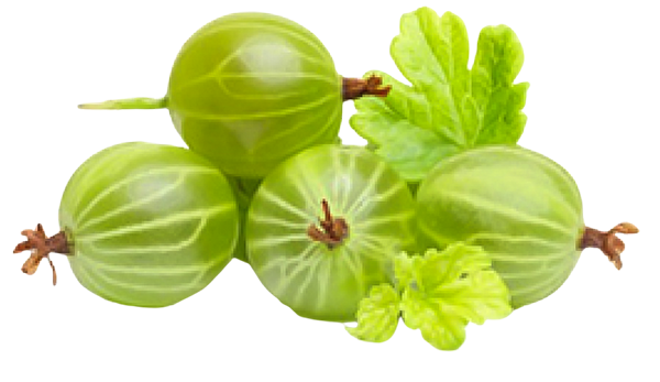 Fresh Green Goosberry 250g